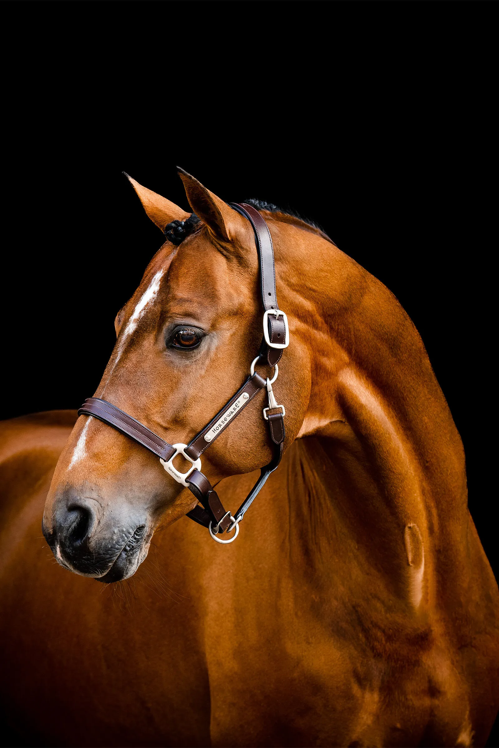 Cavezza in cuoio Horseware Signature