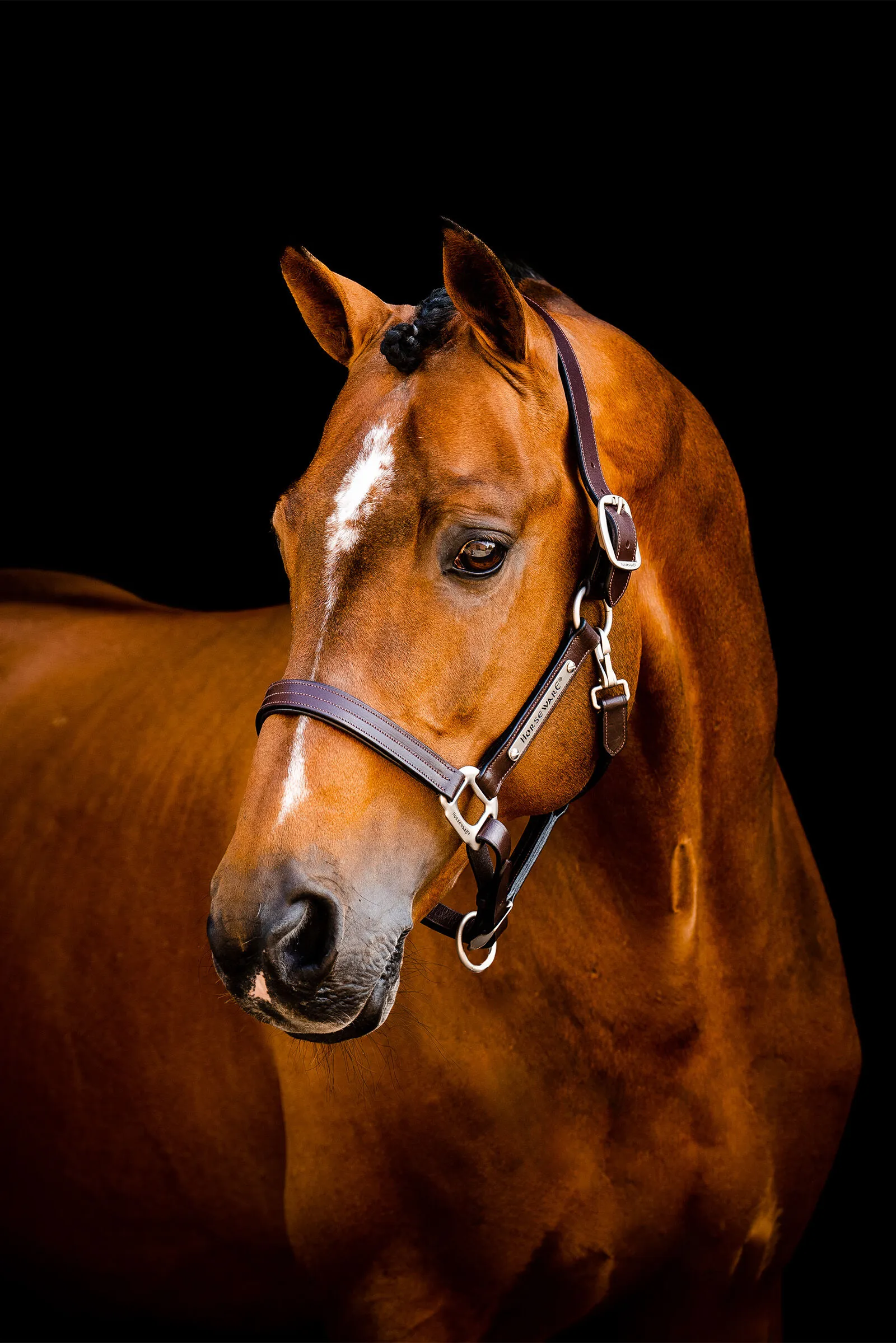 Cavezza in cuoio Horseware Signature