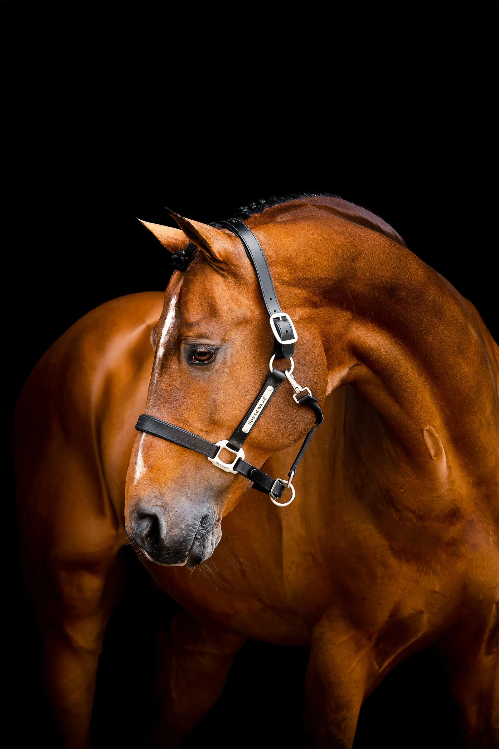 Cavezza in cuoio Horseware Signature