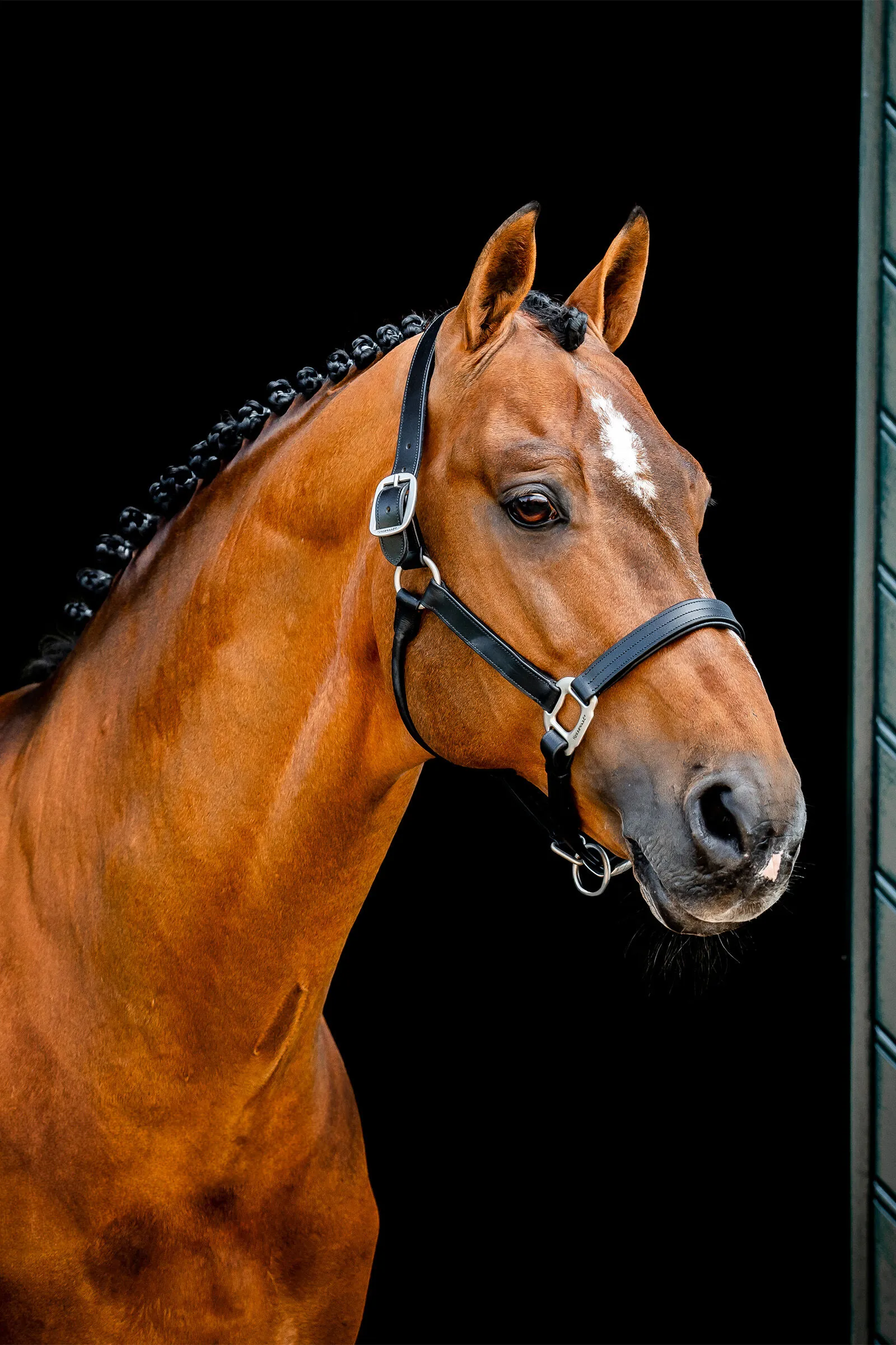 Cavezza in cuoio Horseware Signature