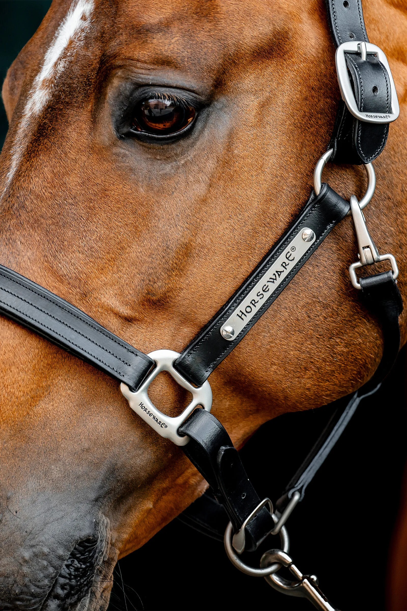 Cavezza in cuoio Horseware Signature