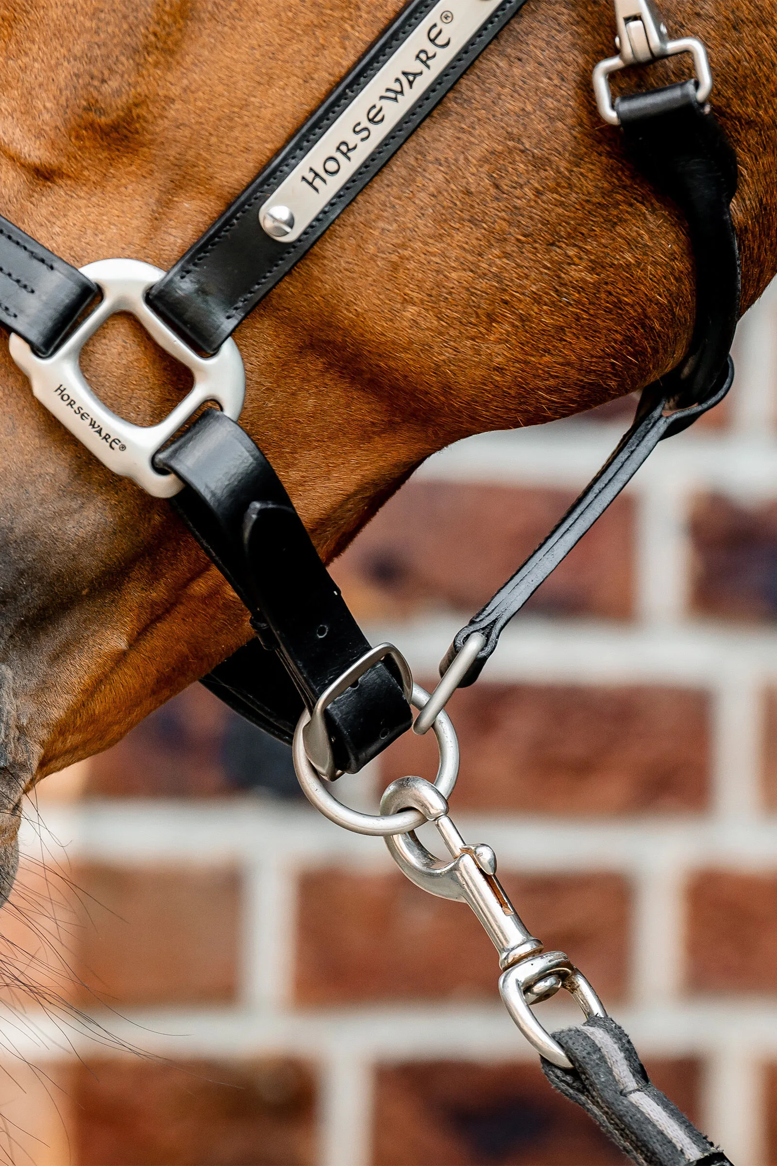 Cavezza in cuoio Horseware Signature