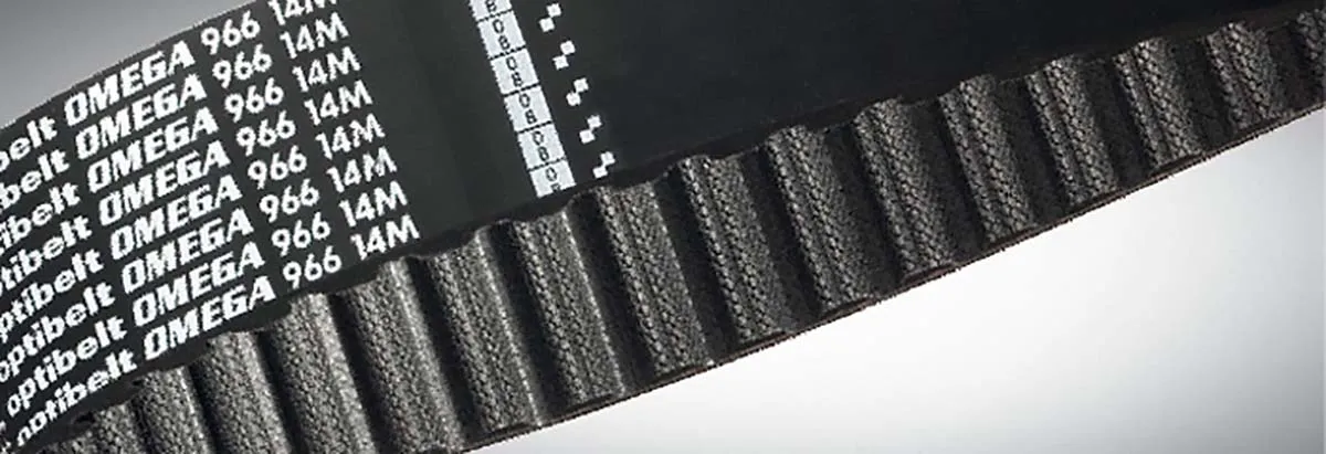 Cinghia sincrona OPTIBELT, 80 denti, passo 8mm, dimensioni 640mm x 30mm, in Gomma