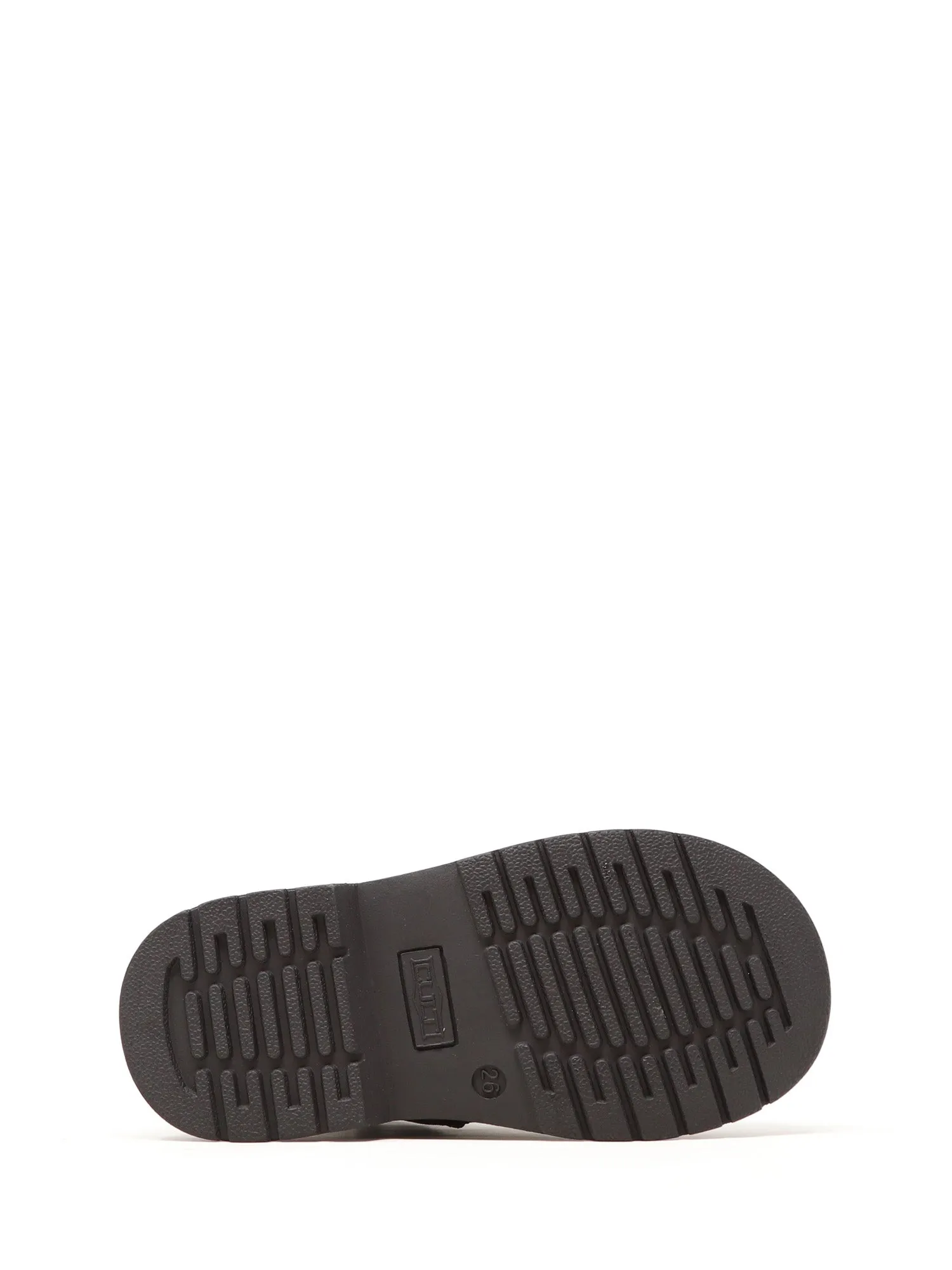 Cult Anfibi CLJ002500