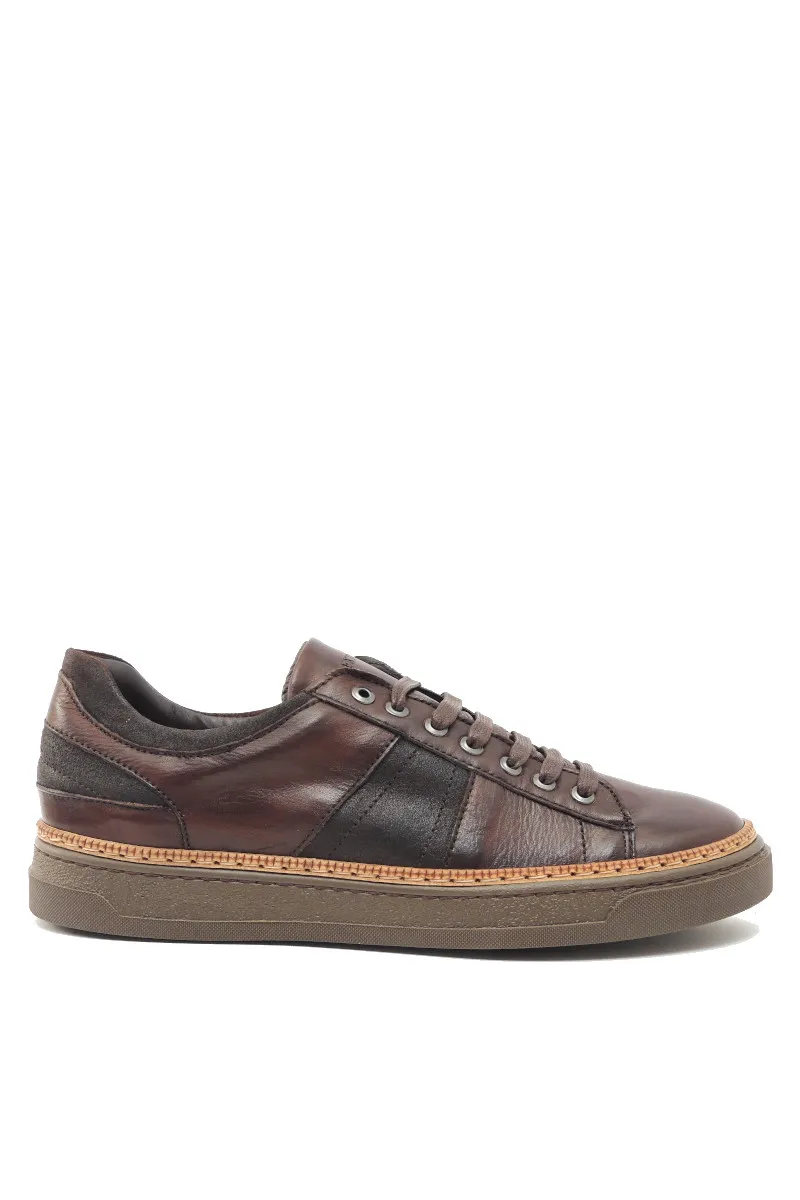 Exton Sneaker bassa