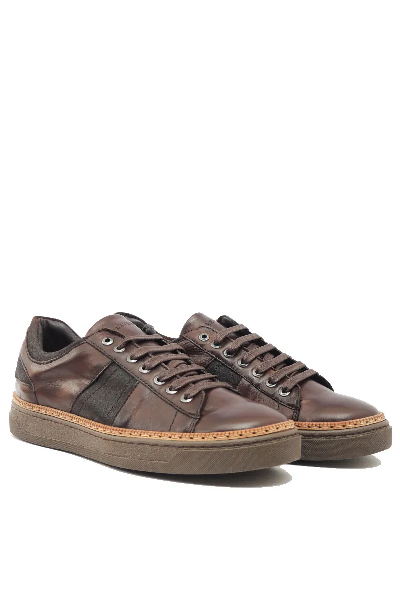 Exton Sneaker bassa