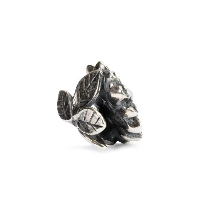 Trollbeads Crisantemo Di Novembre Tagbe-00037